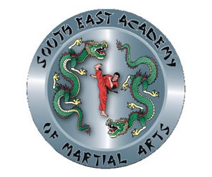 MZM South East Martial Arts - Classes For Adults & Children