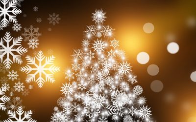 Weybridge Christmas Trees & Lights Fundraising Campaign – Please Help To Make Weybridge Festive This Year