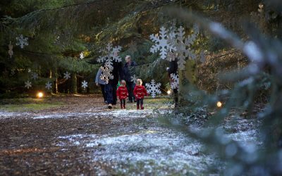 Visit Father Christmas in Santa’s Secret Forest! – Magical Experience for Kids in Addlestone Surrey