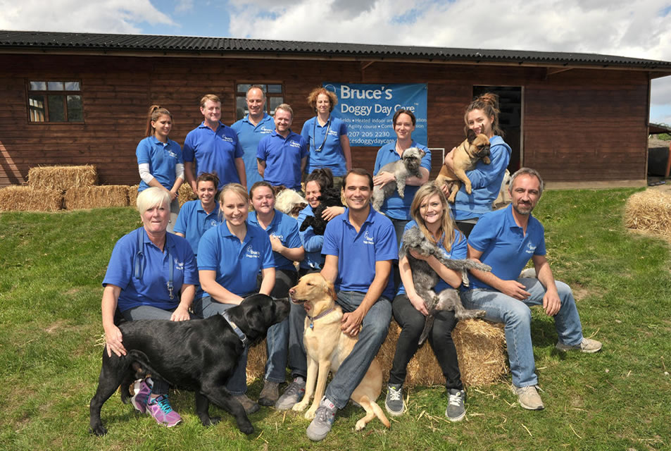 Bruce's Doggy Day Care is a multi-award-winning business running two dog crèche centres in Cobham and Ripley, Surrey.
