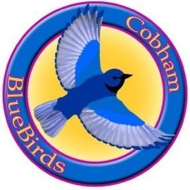 Cobham Bluebirds Rugby Club Logo - Cobham Elmbridge Surrey Sports Club