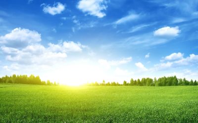 Climate Emergency Declared By Elmbridge Borough Council