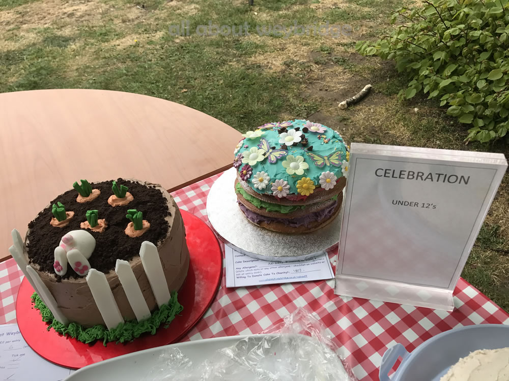 Great Weybridge Cake Off Photos - Celebration Cakes - Children