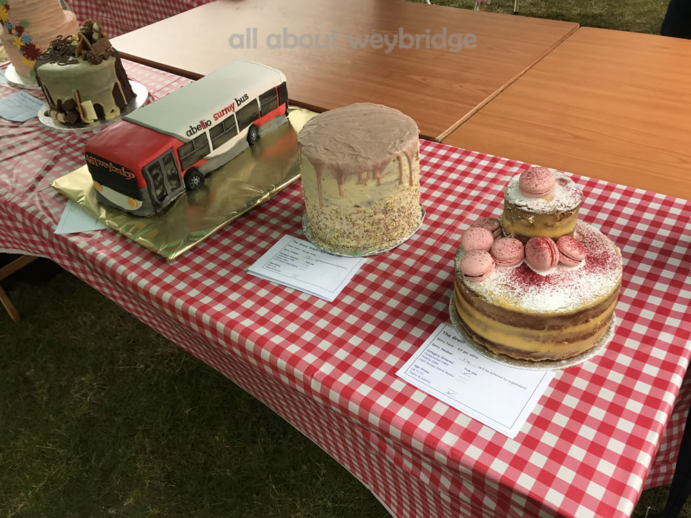 Great Weybridge Cake Off Photos - Celebration Cakes Category - Adult Competition
