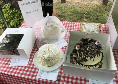 Great Weybridge Cake Off Photos - Celebration Cakes Table - Teenagers & Adults Competition