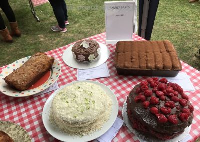 Great Weybridge Cake Off Photos - Family Bakes - Children Category