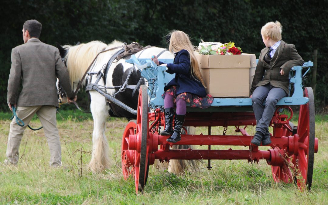 Surrey Hills Natural Burial Reserve – Clandon Wood