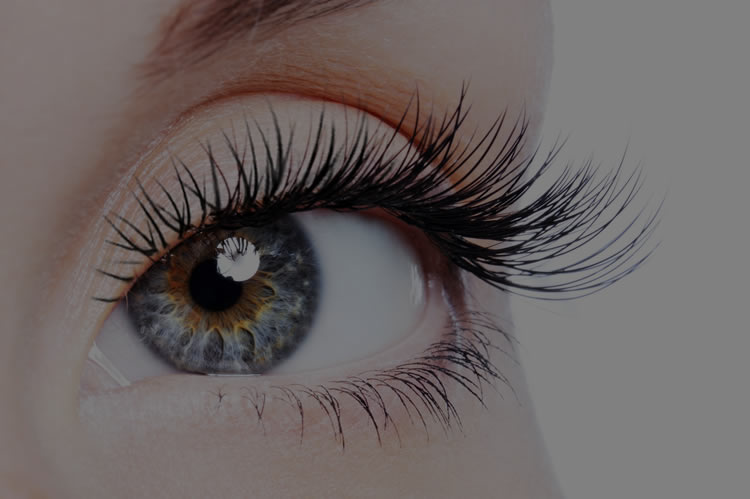 Mobile Beauty Therapist & Eyelash Extensions – Julie Lashes