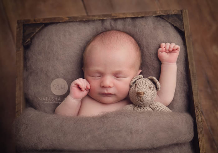 Newborn, Baby & Family Photographer – Natasha Hanna