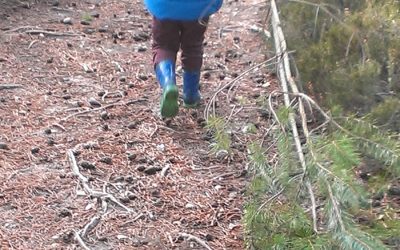 Christmas Pine Pull on Esher Common – Join The Countryside Team of Elmbridge BC