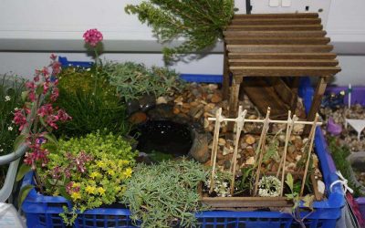Miniature Garden Competition For Kids At Oatlands Village Fayre