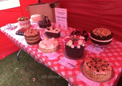 Family Bakes Category - Adults and over 12 - Great Weybridge Cake-Off