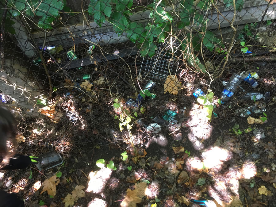 Rubbish included Nitrous Oxide bulbs and alcoholic drink cans dumped along the path from Weybridge station to Brooklands