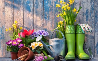 Community Planting Fund is launched to help enhance green spaces in Elmbridge