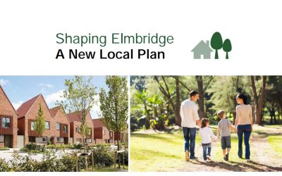 Elmbridge Local Plan should reflect needs after COVID-19 Pandemic