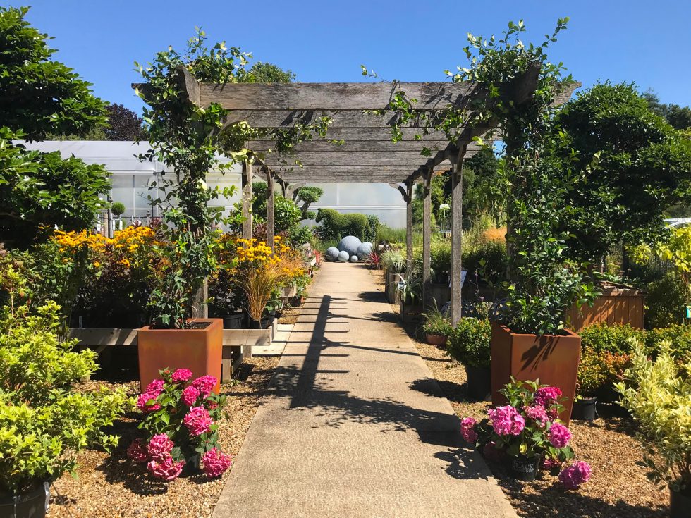 Clifton Nurseries Weybridge Surrey Garden Centre, Café, Landscaping