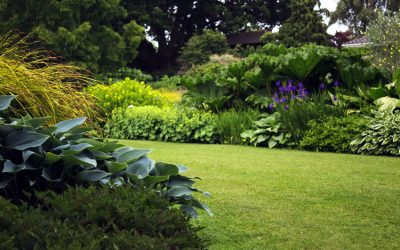 Join the Virtual Garden Show this month and support Princess Alice Hospice