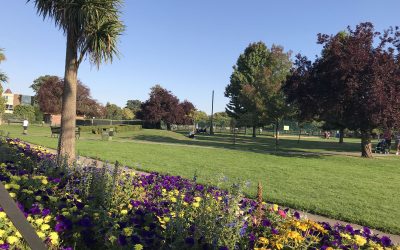 Weybridge Jubilee Fair, Arts Festival & Dog Show