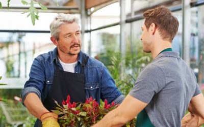 Elmbridge Council Help To Boost Businesses & Support Local High Streets