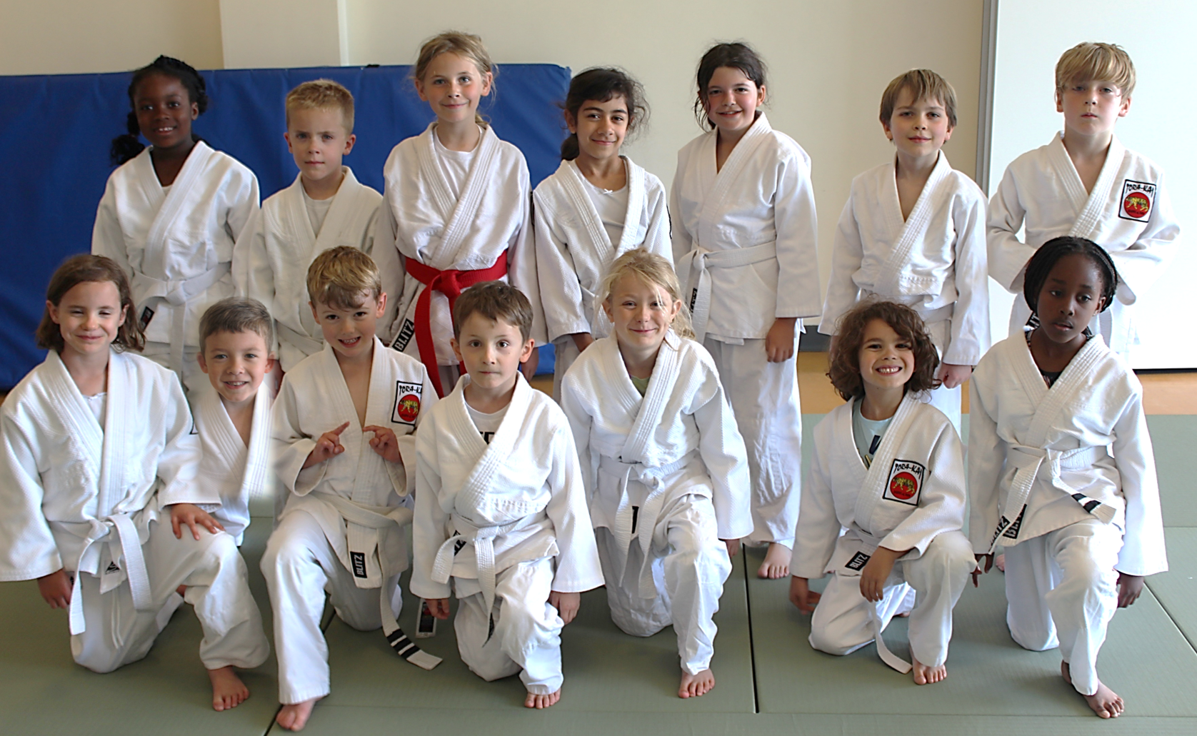 Judo Classes in Walton on Thames - Xcel Sports Centre