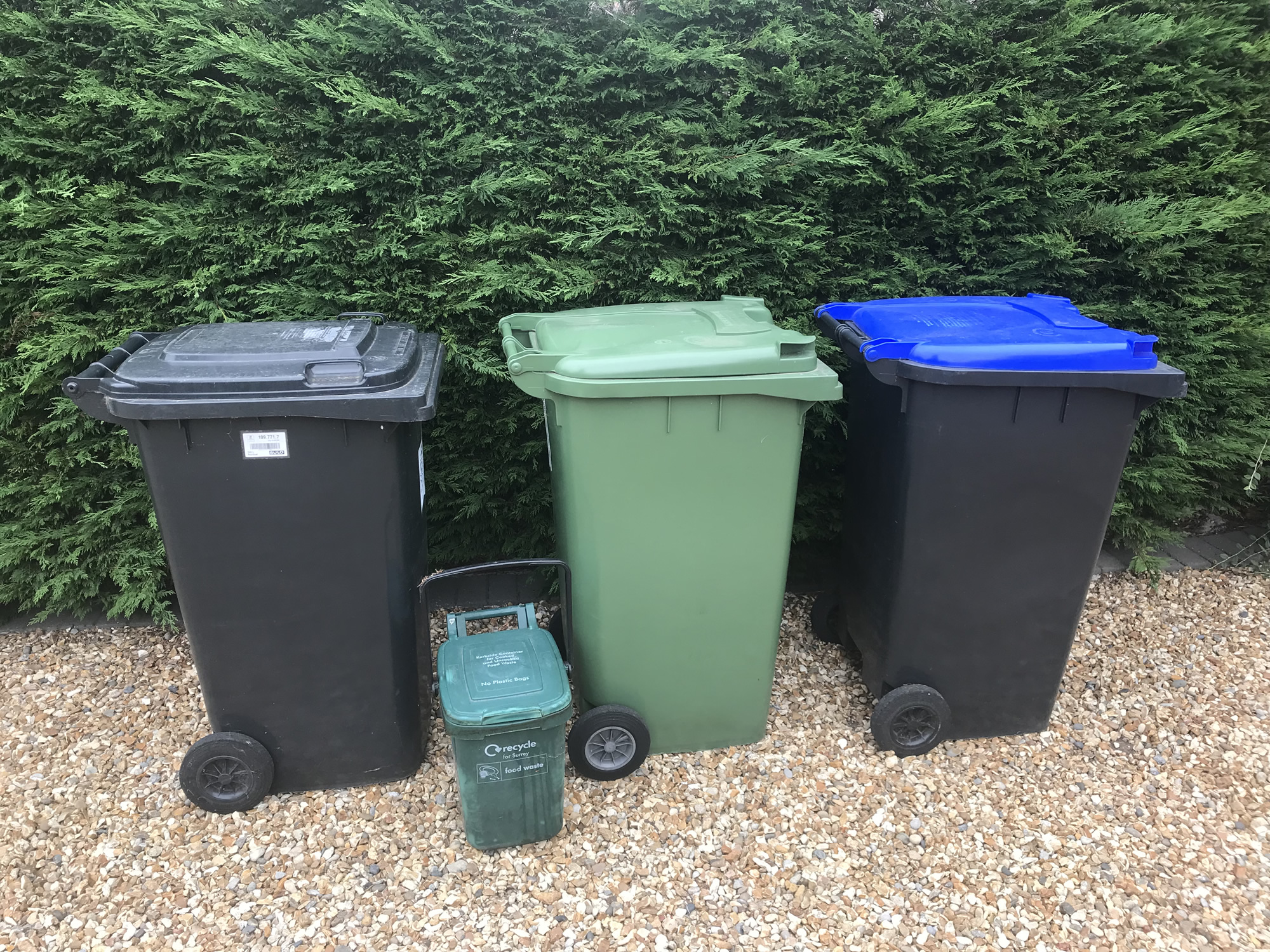 Rubbish Food Waste and Recycling Bins - Elmbridge and Woking Surrey