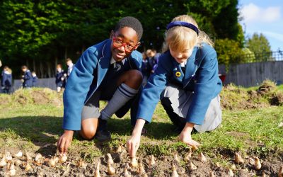 Bulb Planting For Spring – Danes Hill School Oxshott