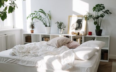 A Beginner’s Guide To Decorating Your Home With Indoor Plants
