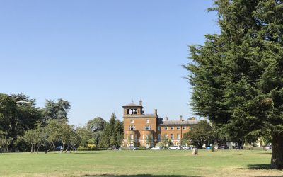 Outdoor Activities in Weybridge: Parks, Trails, and the River Wey