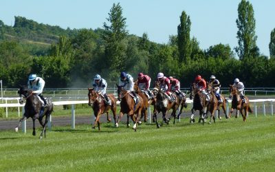 Is There a Strong Horse Racing Culture in Surrey?