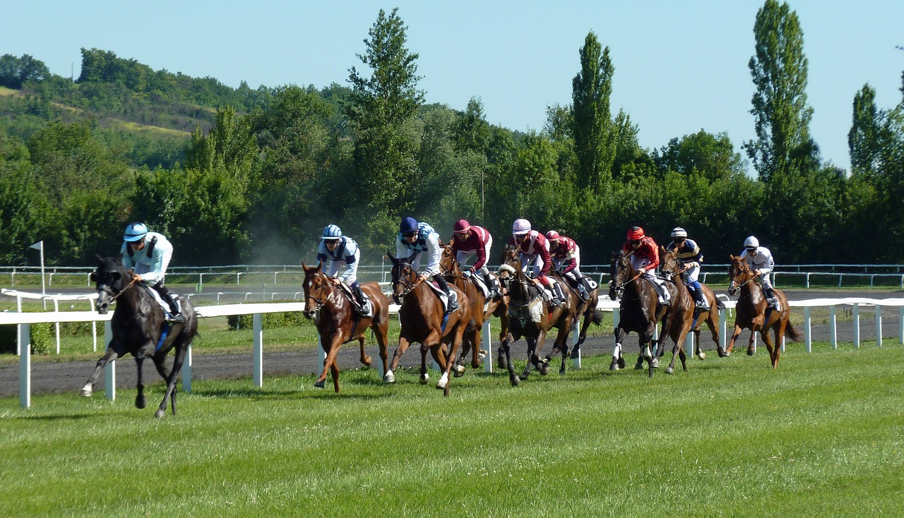 horse racing in surrey