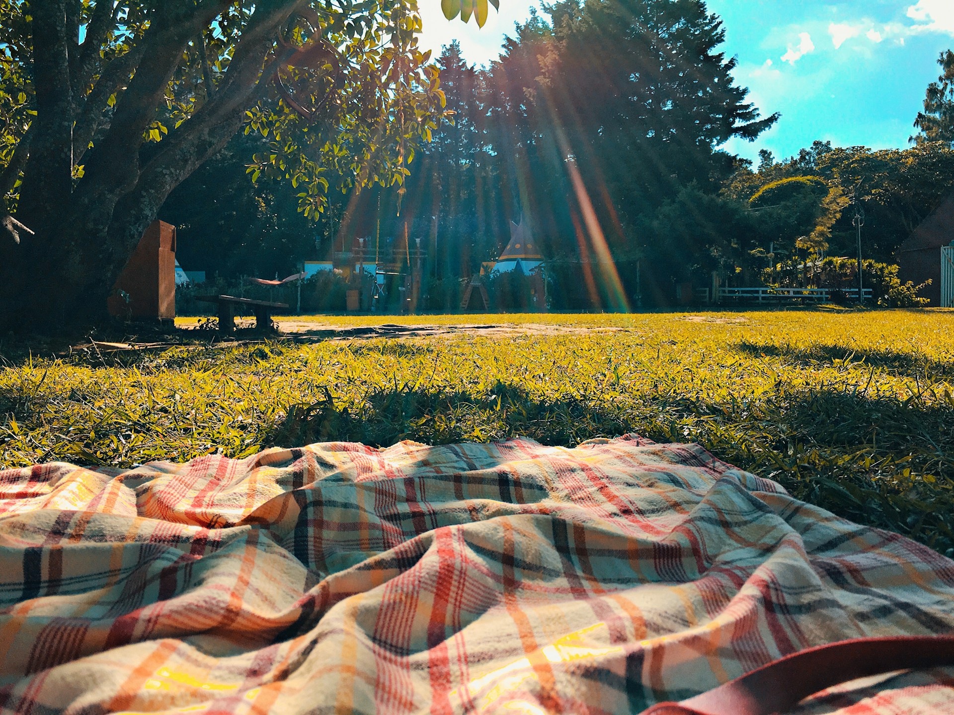 picnic blanket
