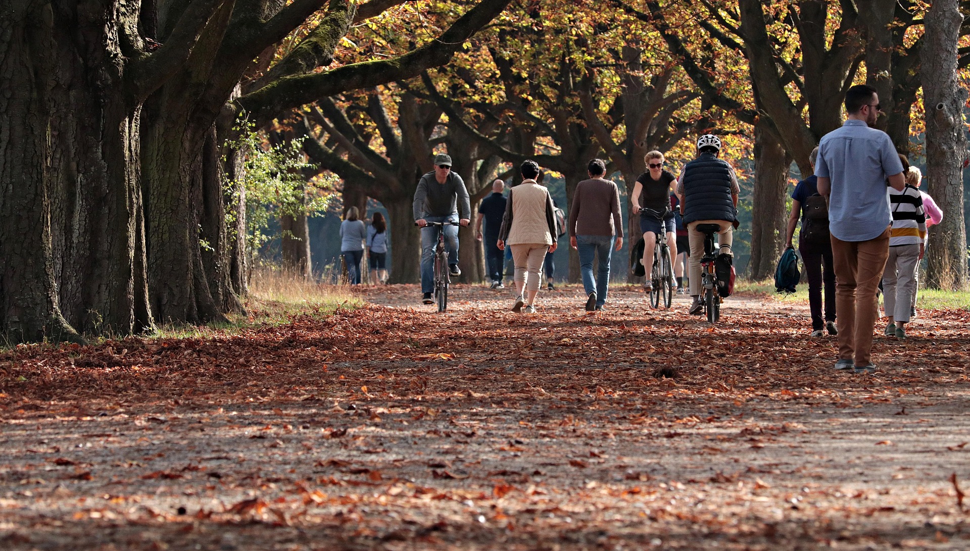 Taking a walk and cycling in autumn