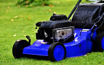 How to Get Your Garden Autumn-Ready: Lawn Mowers and More