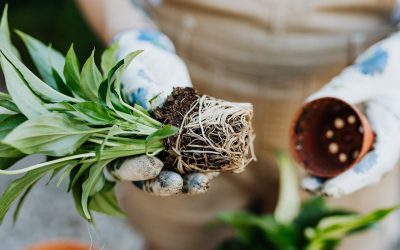 Helpful Tools That Will Make Autumn Gardening That Much Easier