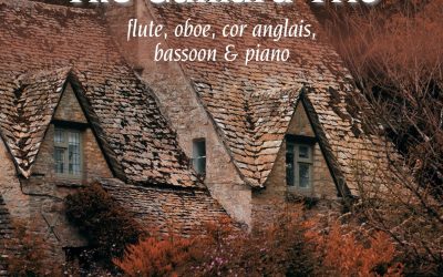 Music on the Green lunchtime concert in November at Christ Church, Esher