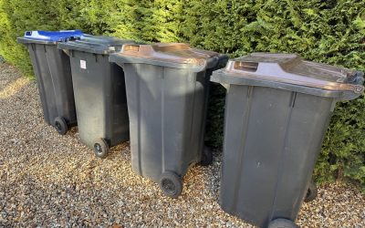Streamlining Waste Collection: What Every Surrey Business Owner Should Know