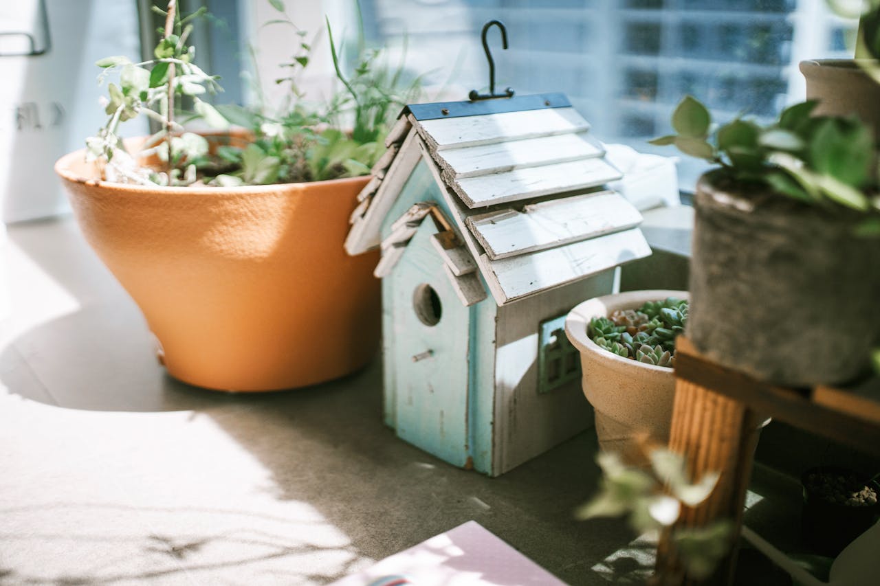 simple upgrades around your home and garden