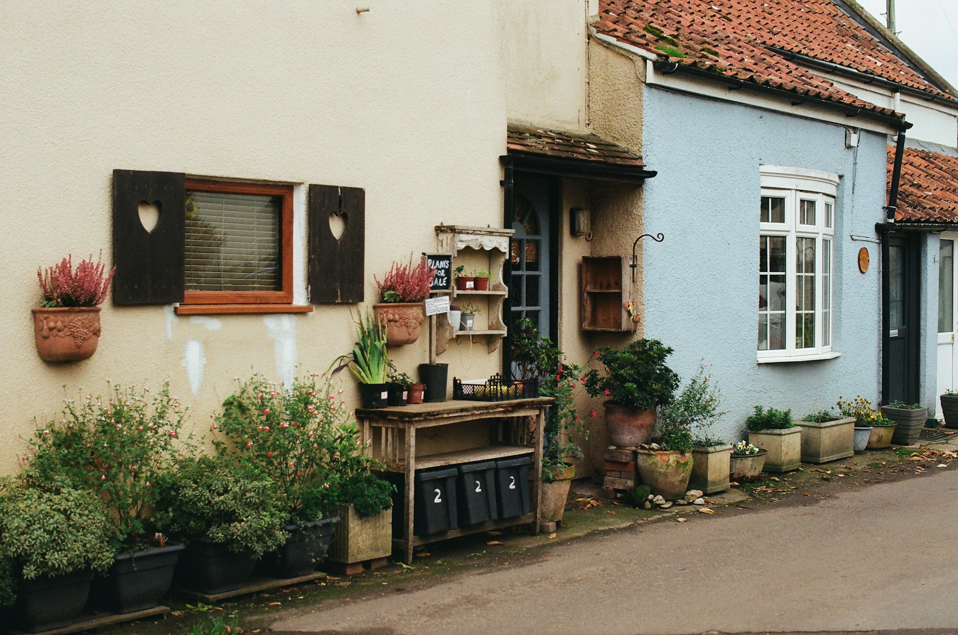 houses on a quiet residential street, representing homes for sale in Weybridge